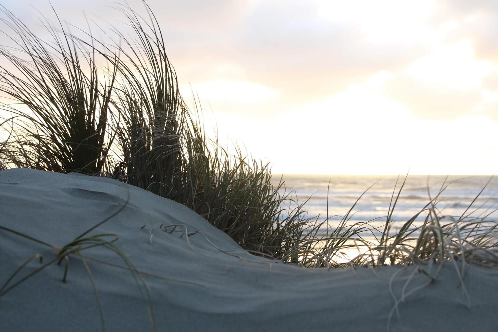 Foxton Beach Holiday Park Exterior foto